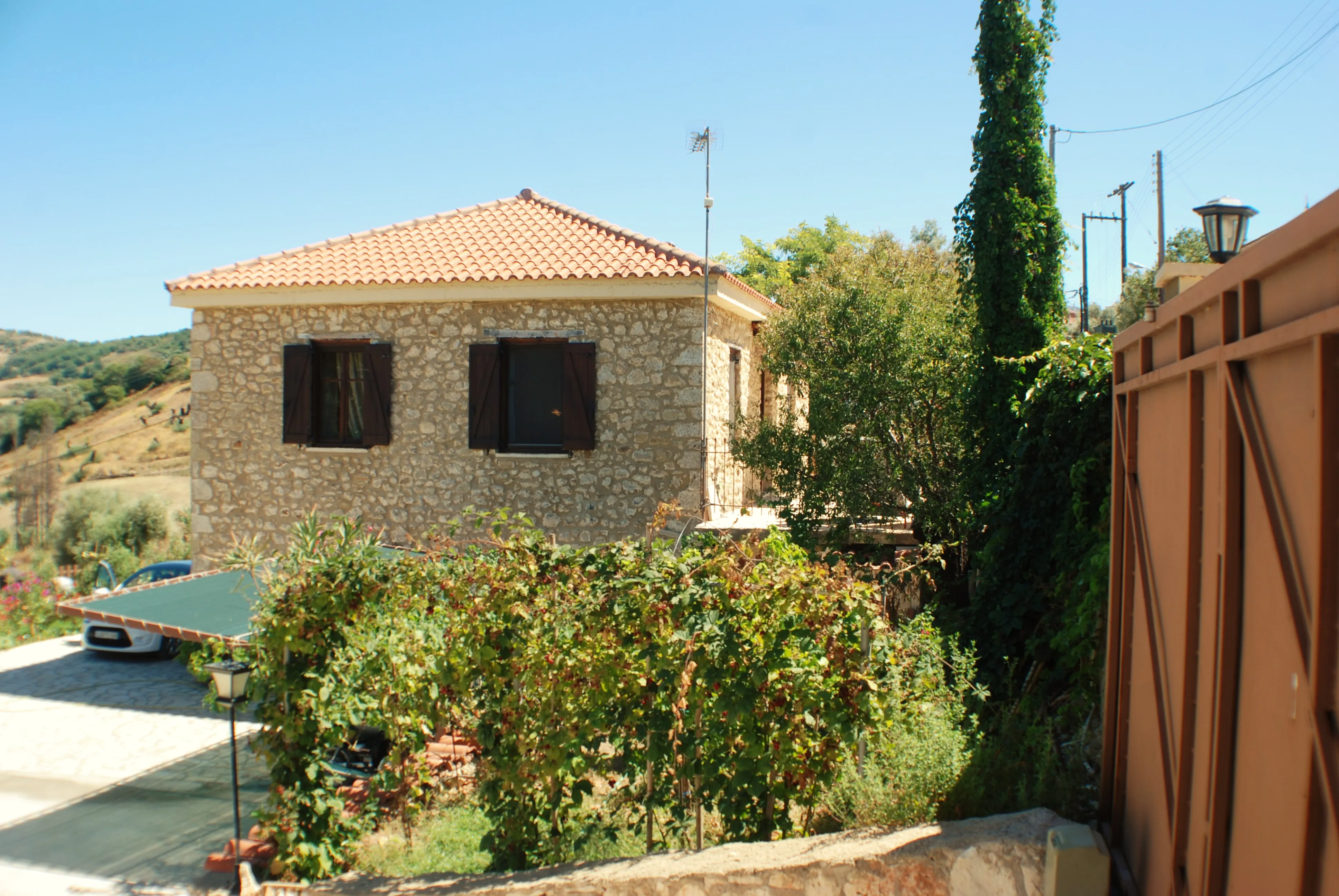 gallery-image